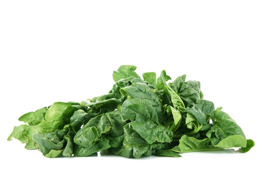 a fresh spinach on white background