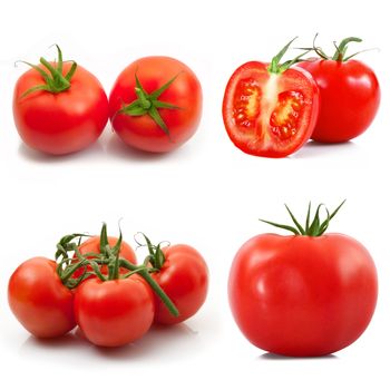 fresh tomatoes on white background