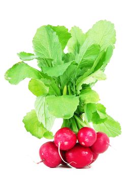 fresh radishes on white background