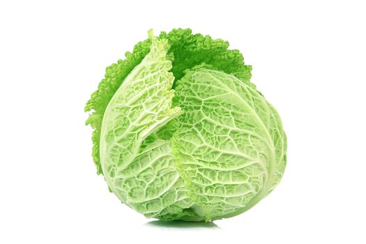 a fresh cabbage on white background
