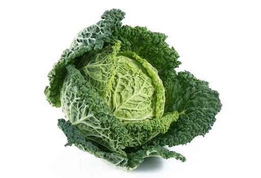 a fresh cabbage on white background