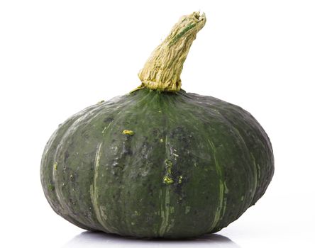 a fresh pumpkin on white background