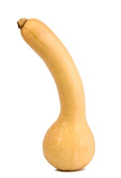 a fresh pumpkin on white background
