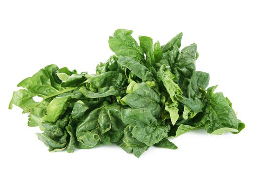 a fresh spinach on white background
