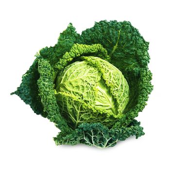 a fresh cabbage on white background