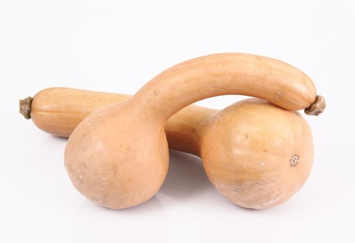 a fresh pumpkin on white background