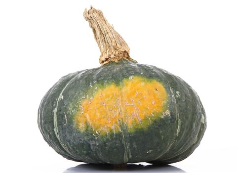 a fresh pumpkin on white background
