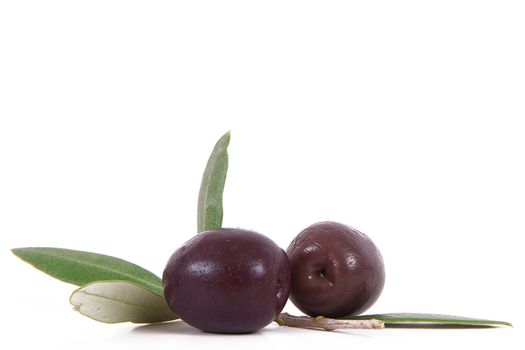 isolated olives on white background