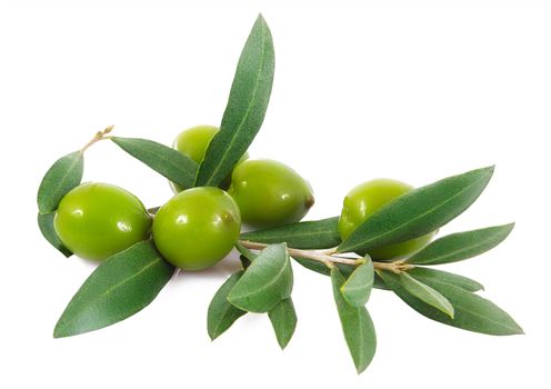 isolated olives on white background