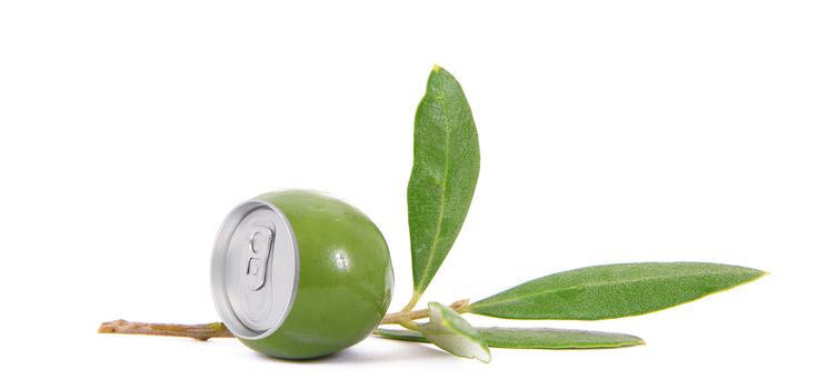 isolated olive tin on white background