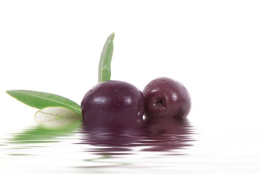 isolated olives on white background