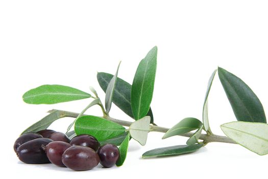 isolated olives on white background