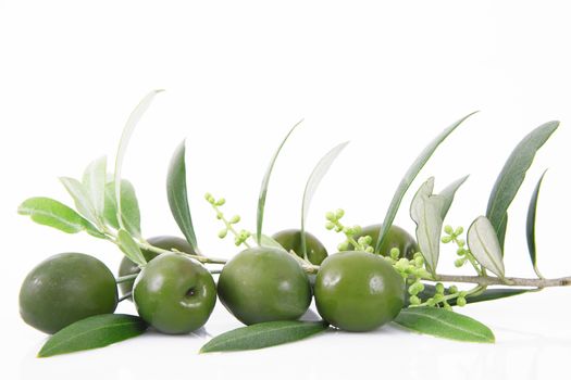 isolated olives on white background