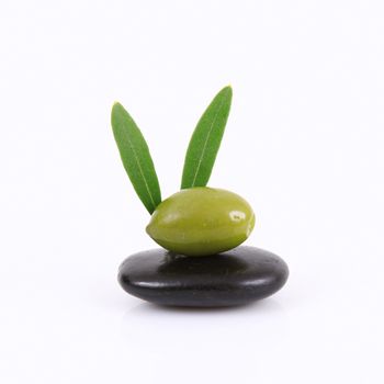 isolated olives on white background