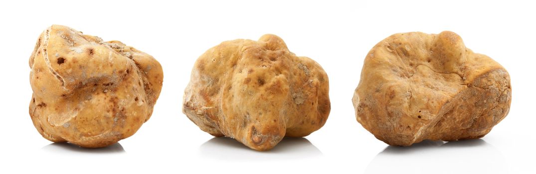 original italian white truffles on white background