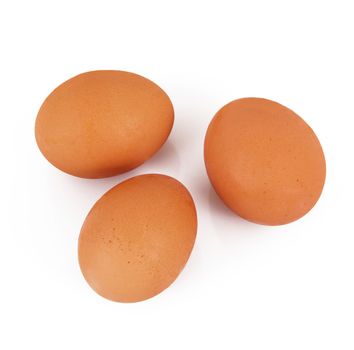 isolated eggs on white background