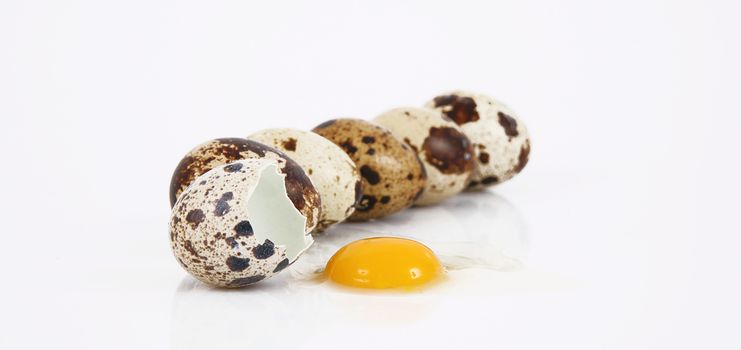 isolated quail eggs on white background