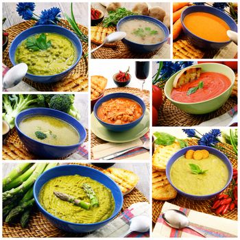 exquisite traditional soup collage with bio ingredients