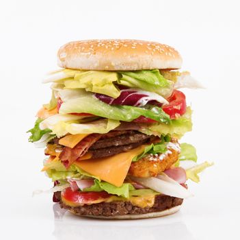 very big sandwich with salade and hamburger