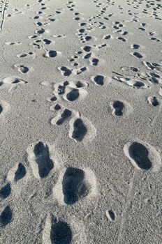 Many footsteps going everywhere on a sandy beach