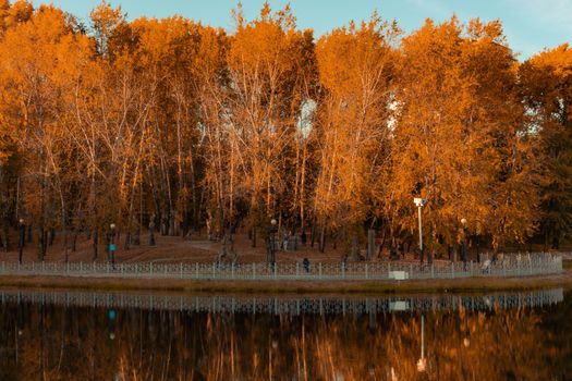 City ponds in the autumn. Trees covered with yellow and orange leaves are reflected in the water. Blue sky.