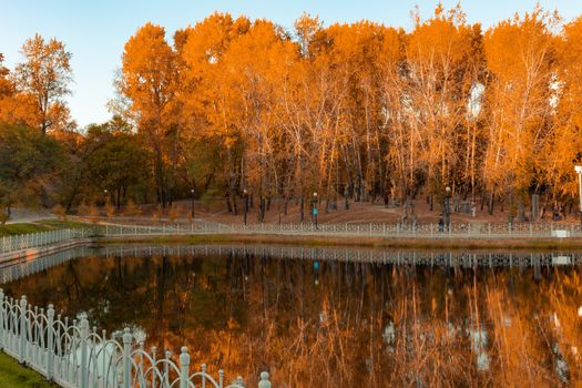 City ponds in the autumn. Trees covered with yellow and orange leaves are reflected in the water. Blue sky.