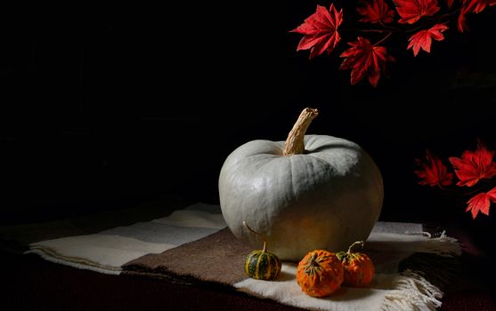 raw pumpkin on rustic carpet on black background
