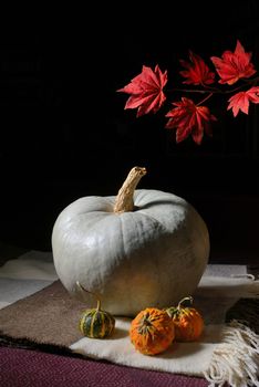 raw pumpkin on rustic carpet on black background