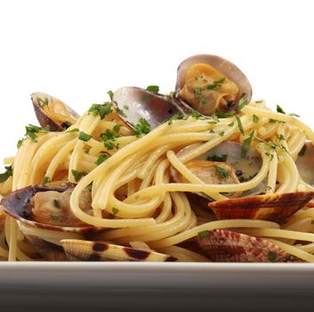 original italian spaghetti with clams