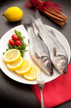 isolated fresh bass dish on stone background