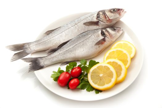 isolated fresh bass dish on white background