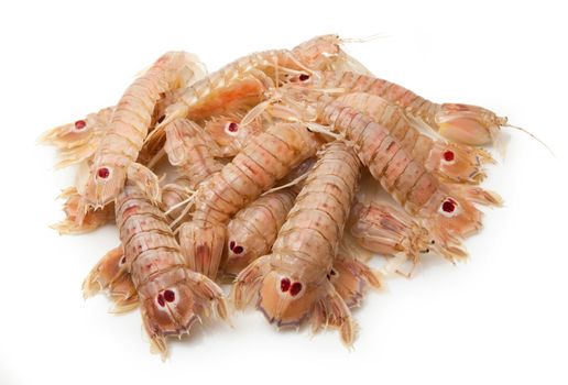 fresh mantis shrimps on white background