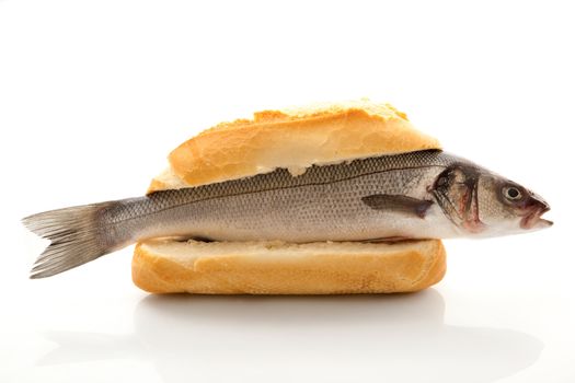 isolated fresh bass sandwich on white background