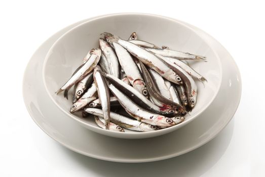 dish of fresh anchovies on white background