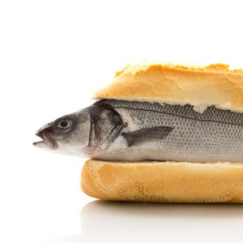 isolated fresh bass sandwich on white background