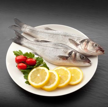 isolated fresh bass dish on stone background