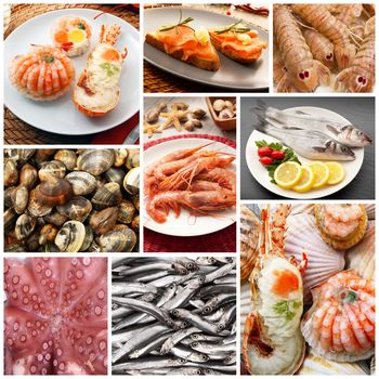 fresh fish collage on white background