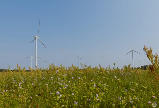 wind trubine at sunny day with blue sky