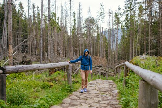 brunette man hiker hiking on trail in summer time. Tatra mountain in Poland.