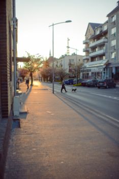 City street in early spring with pink cherry tree at dusk