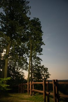 Magical, beautiful moonrise, moonlight on the sky above tree line. Wolinski National Park, Poland.