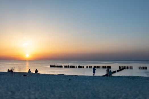 A photograph of wooden breakwater and seagulls at sunset on the Baltic Sea