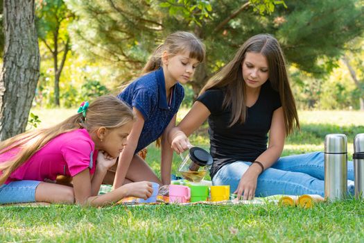 Family on a picnic, girl pours tea in glasses