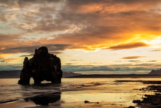 Hvitserkur the famous rock in the ocean in Iceland at sunrise