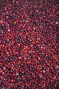 Frozen berries in grocery store shot close-up, blurred background. Bright red cranberries contain many vitamins and minerals, is a medicinal plant