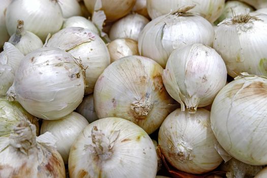Seasonal vegetables are stacked in boxes at the grocery store. White onions shot close-up. Natural products for cooking healthy food.