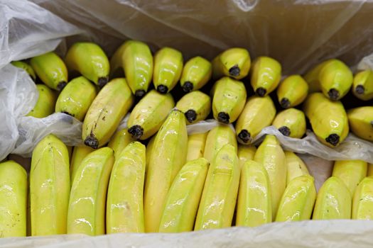 Seasonal fruits are placed in boxes in the grocery store. Close-up of fresh yellow bananas. Natural foods rich in vitamins for a healthy diet.