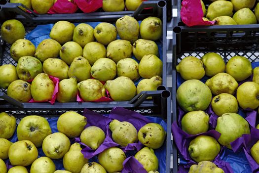 Seasonal fruits are placed in boxes in the grocery store. Close-up of fresh yellow quince. Natural foods rich in vitamins for a healthy diet.