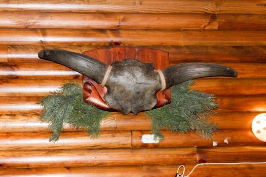 Large horns hang in a wooden house
