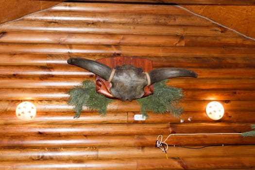 Large horns hang in a wooden house